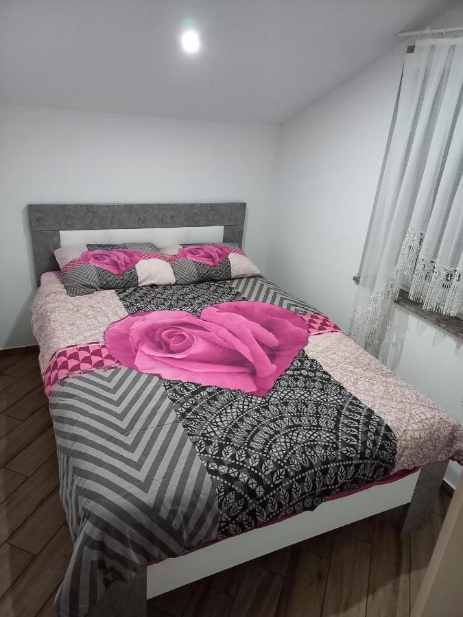 Nastanitev Nika Daire Rogaška Slatina Dış mekan fotoğraf